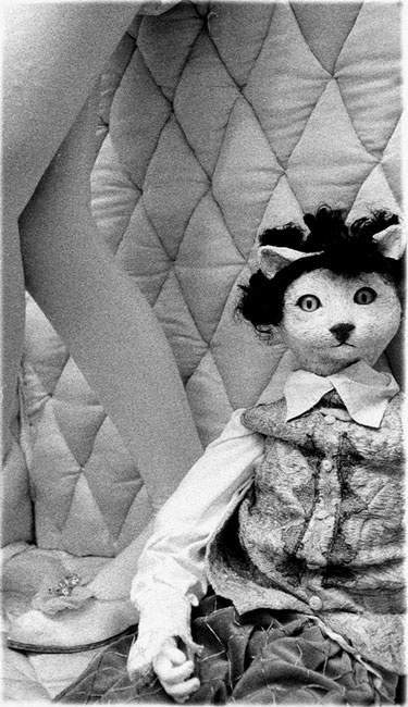 tutti doll and the cat кукла кот