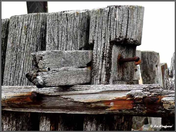 Wood.Senility. 
