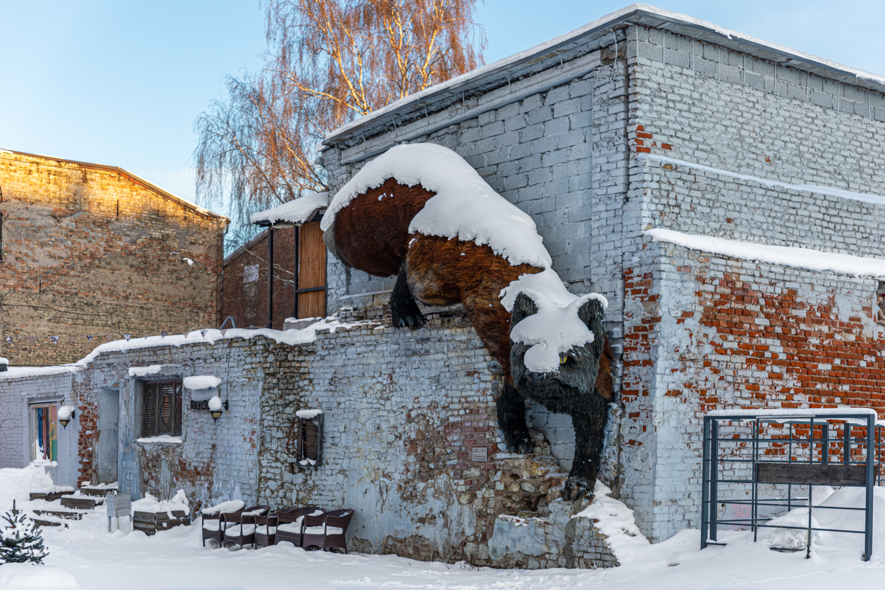 Снежный лис 