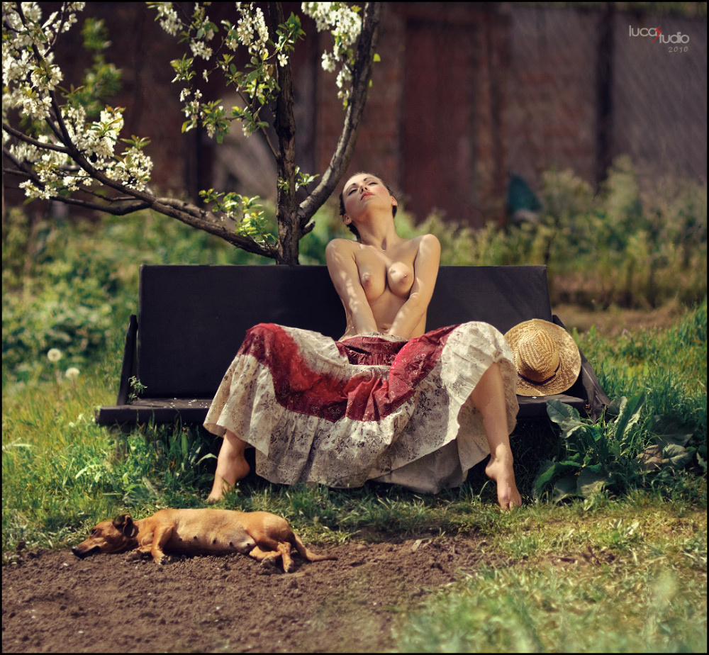 цветет вишня lucas, lucastudio