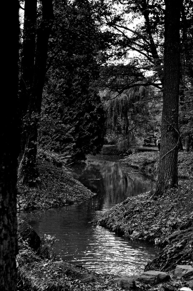 forest River 