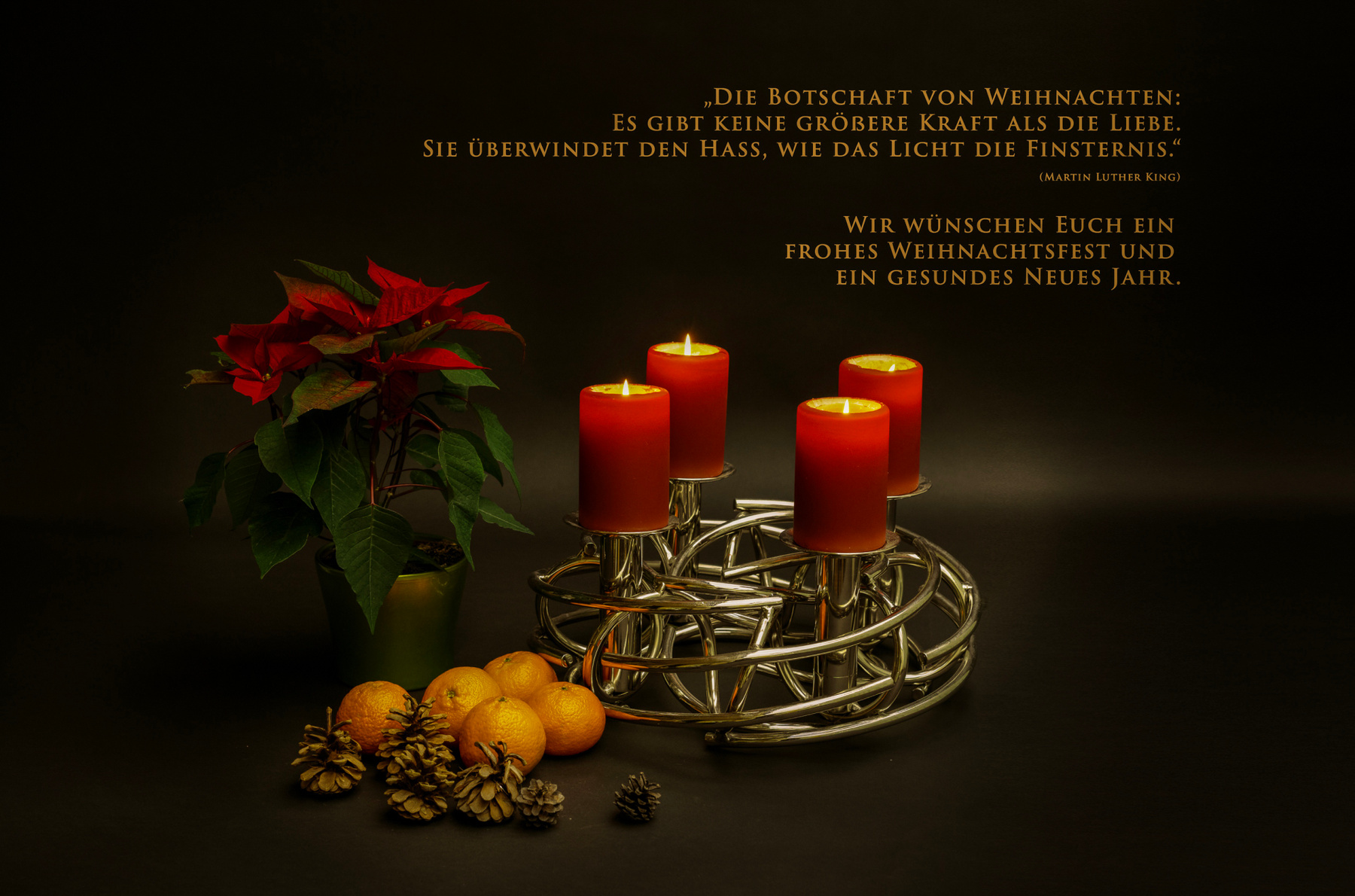 Christinas 2022 leica summilux disfoto flowers christmas christmasgifts santa christmasdecorations christmasiscoming holidays holiday gift navidad santaclaus christmaslights noel art instagood december family gifts snow smallbusiness photography giftideas