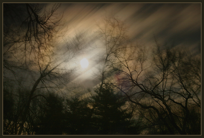 сонет fullmoon