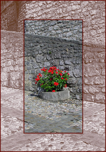 trapped in stone камень розы