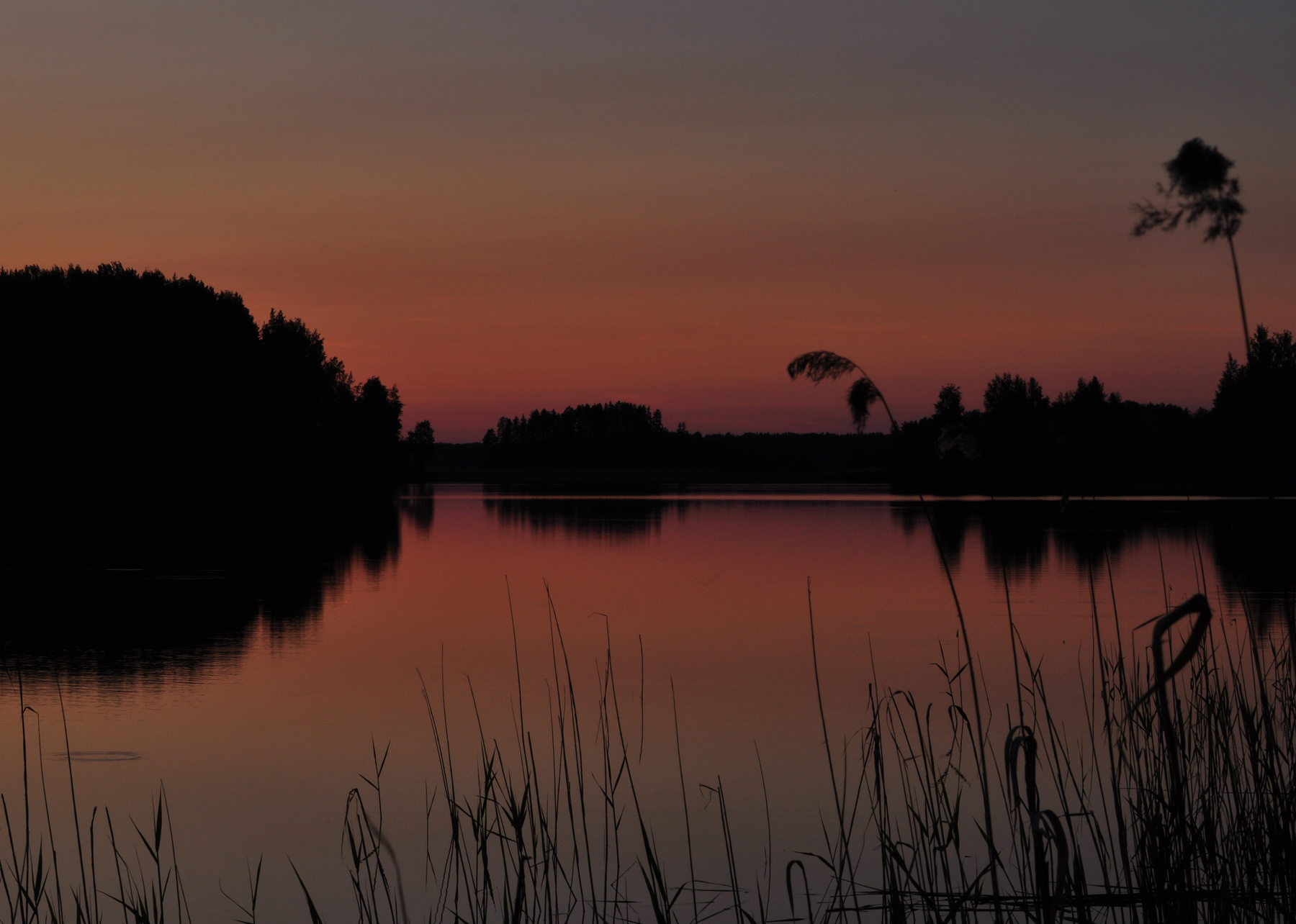 *** 