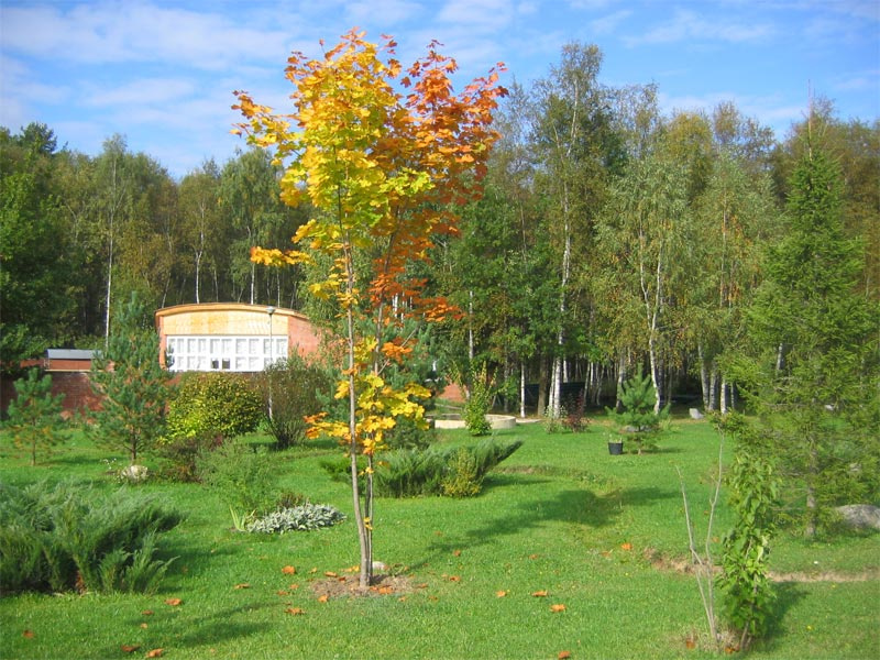one year later год на фотосайте