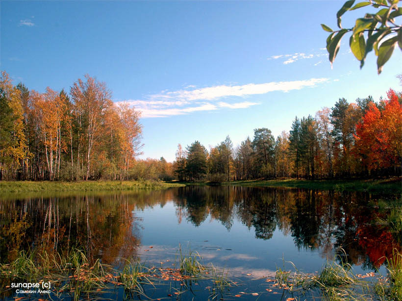 Сибирская природа осень лес водоём