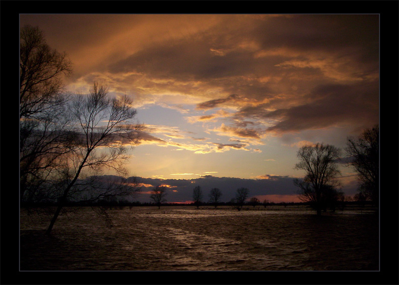 From Dusk Till Dawn 