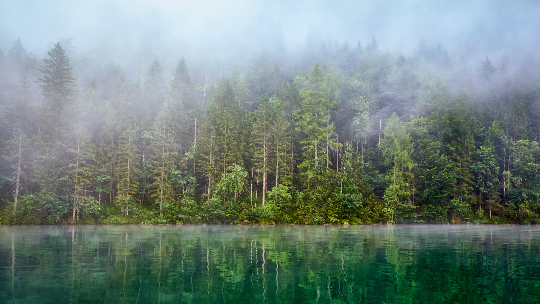 Зелёный мир (2)... (репост) Германия Бавария Кёнигсзее Königssee лес отражения