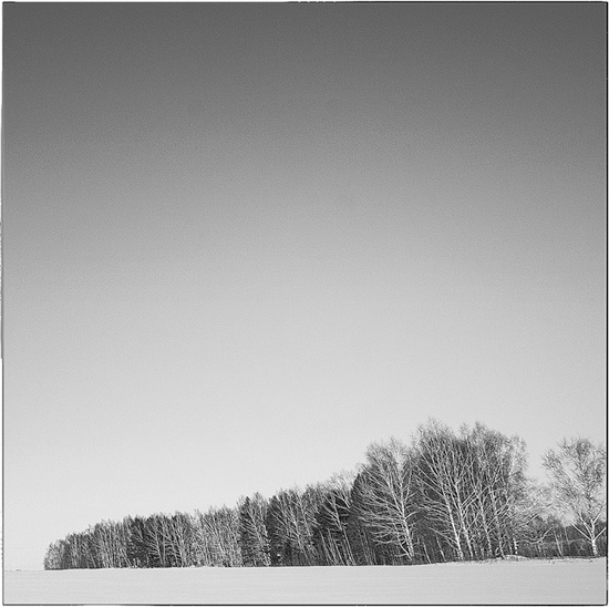 Лунное молоко. 2006 фывже, зима, антиповка, простор, обрыв, местодлякрика, winterequinox, coil, moons_milk