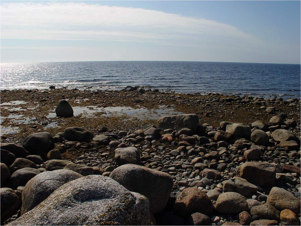 белое море 