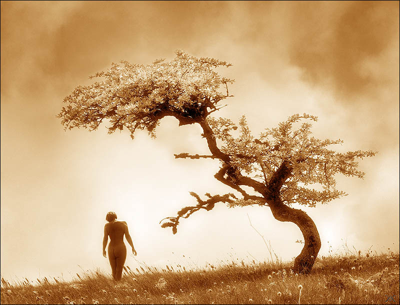 * 