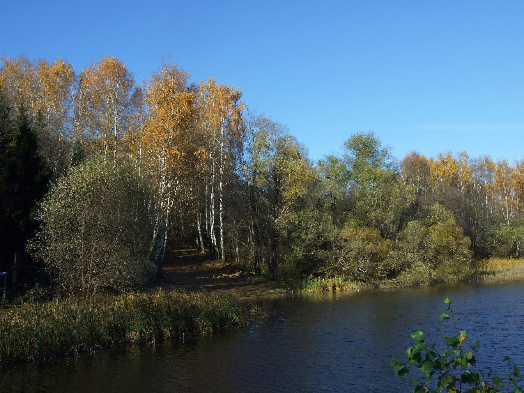 Пруд Подмосковье, осень