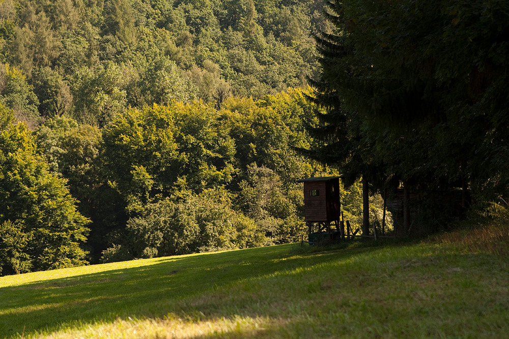 lodge 