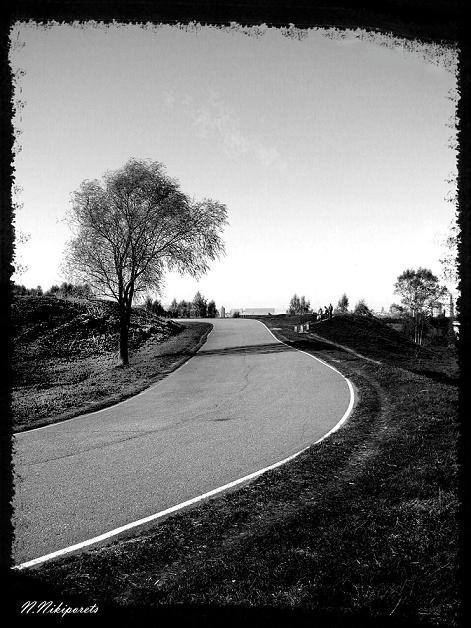 tree road холмы дерево дорога