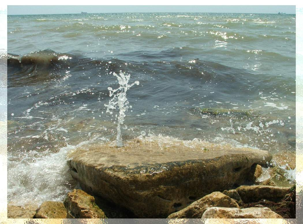 Брызги лета Лето, Чёрное море