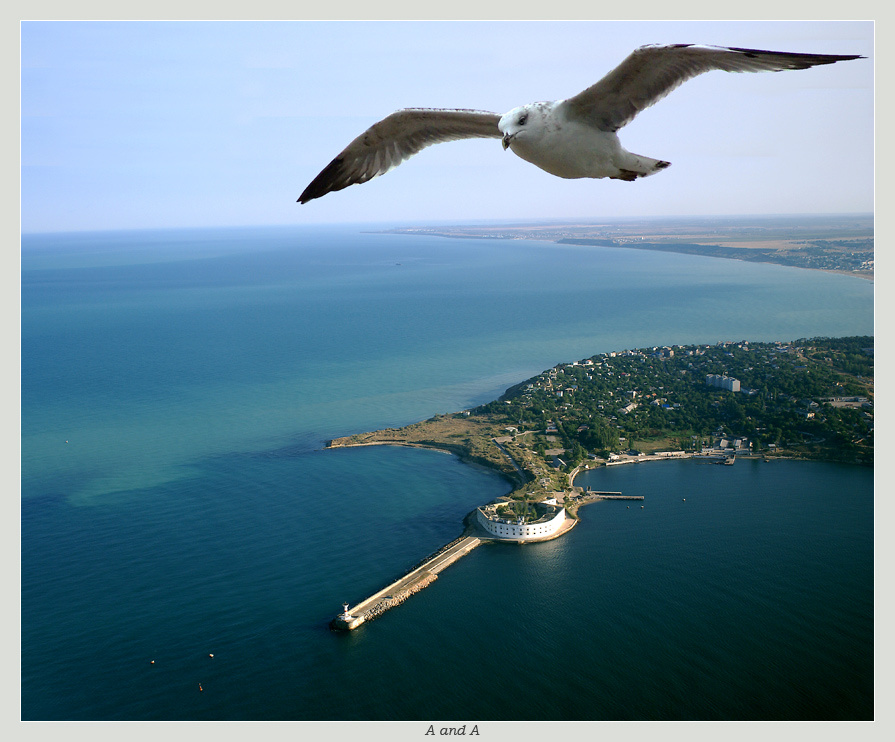 Глазами Чайки - КОНСТАНТИНОВСКИЙ РАВЕЛИН Севастополь море небо чайка