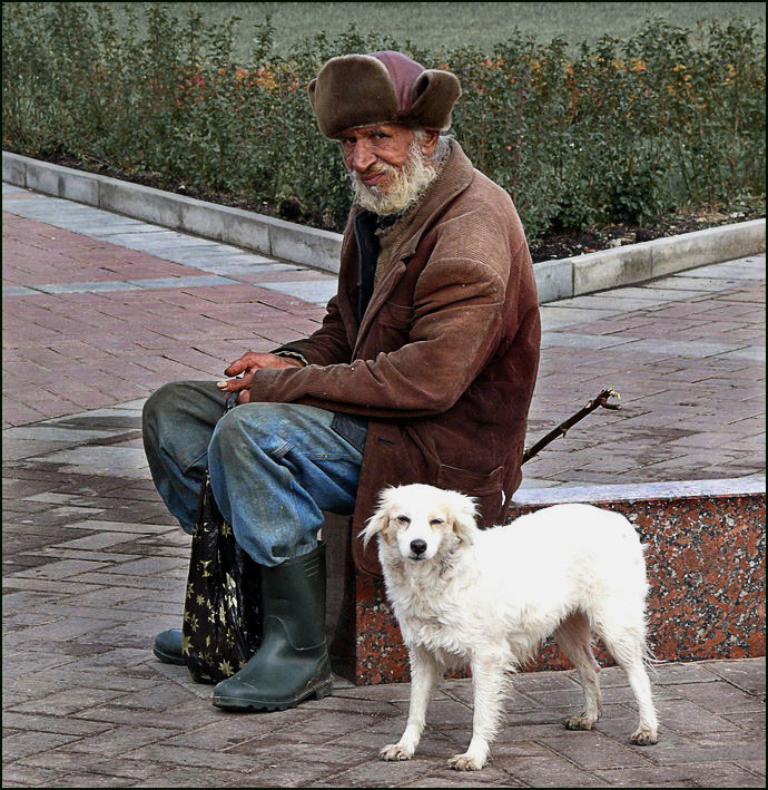 Попутчики 
