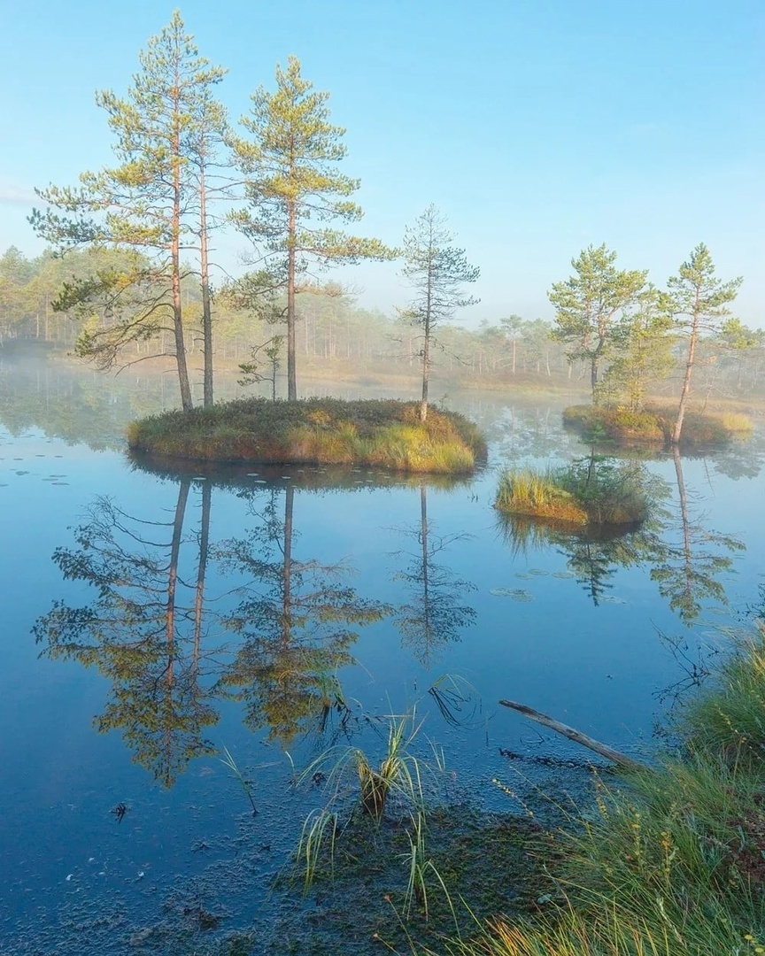 Островки 