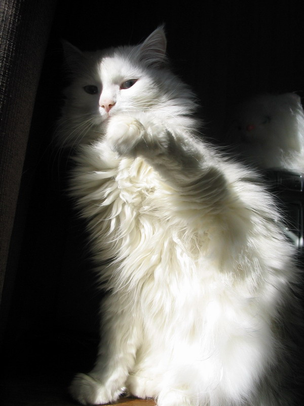 уйди... margo