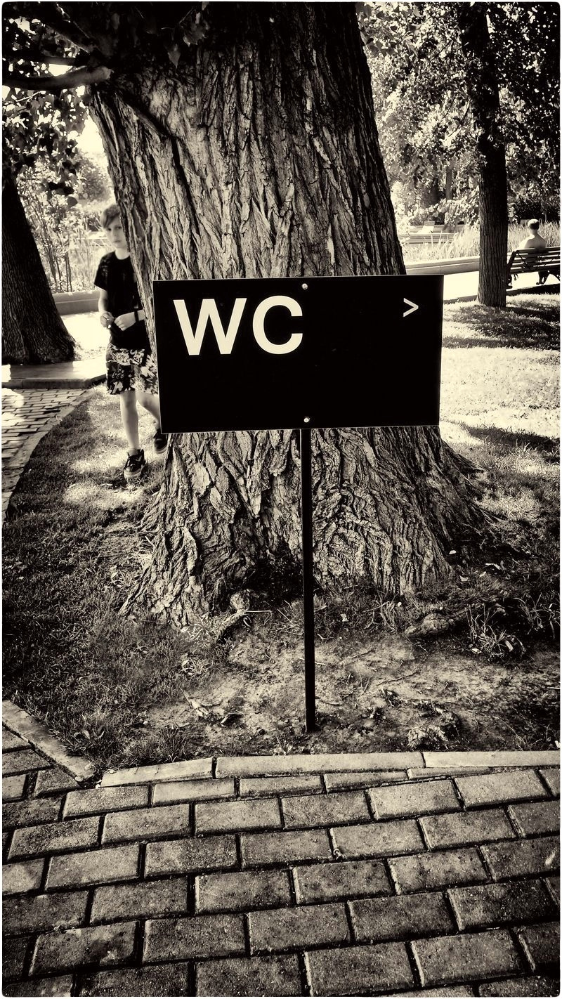 WC > Москва Парк Горького