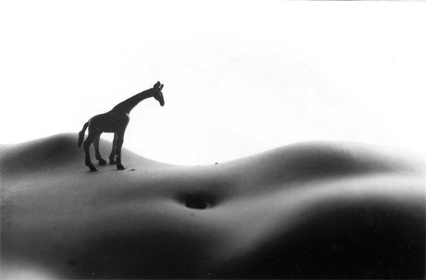 Пустынная саванна bodyscapes ню эротика bodyart модель