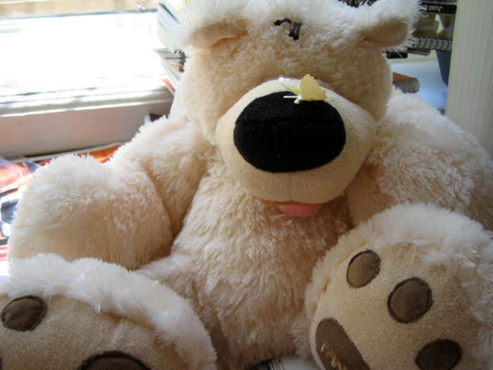 mishka медведь