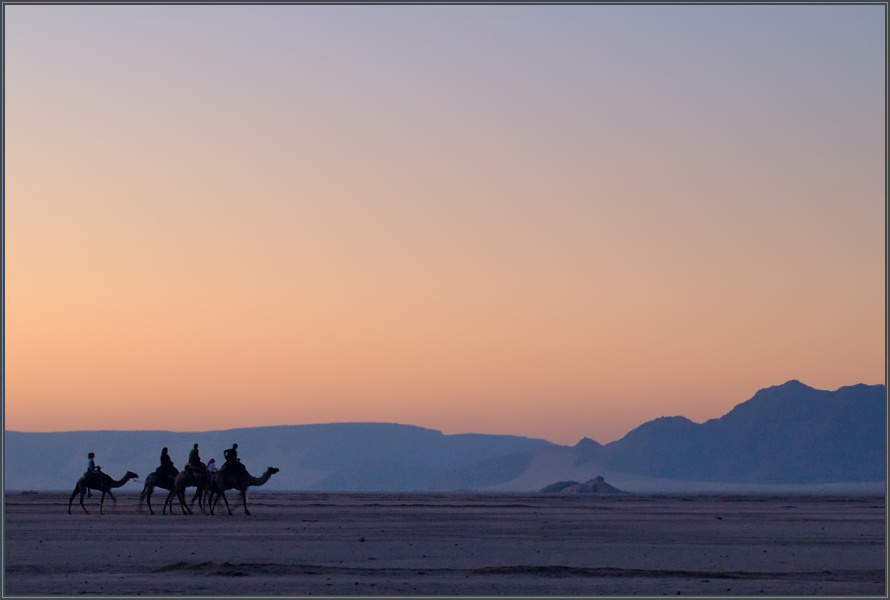 Caravan 