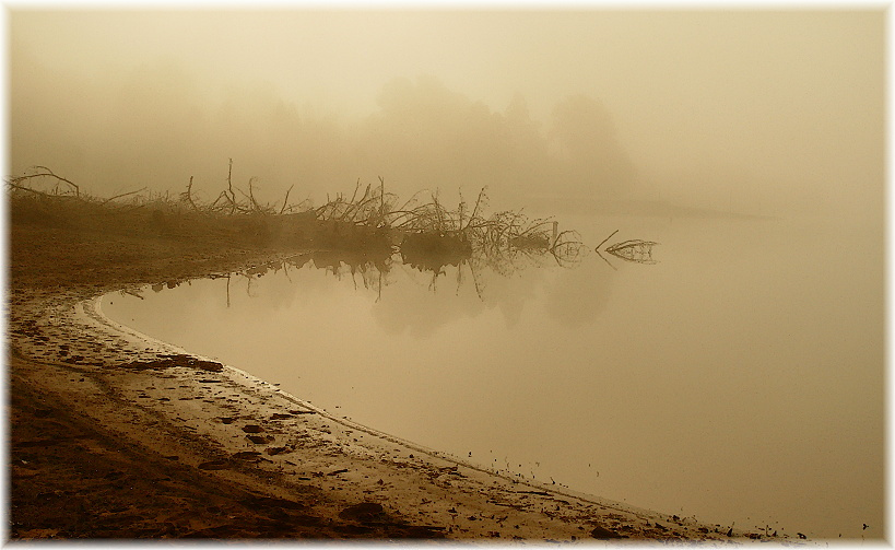 елкины палки. туман. fog morning lake