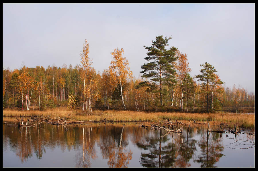 Зеркала осени 