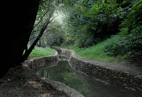 ***enchanted forest коломенский парк
