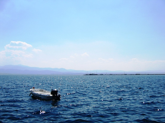 sail away sea