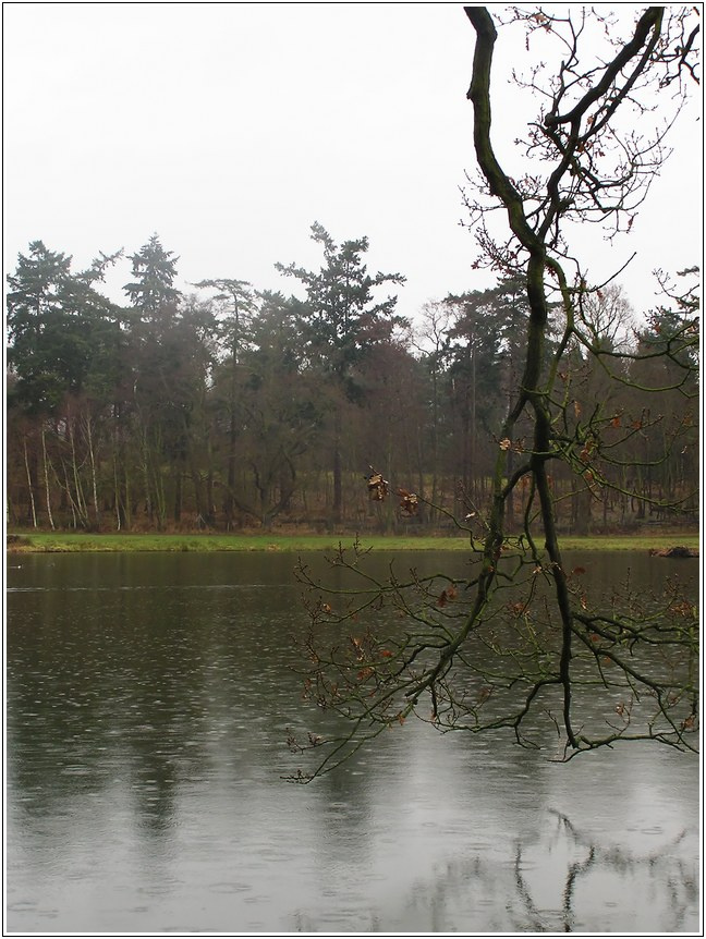 Весна приходит по-английски Painshill park весна дождь деревья