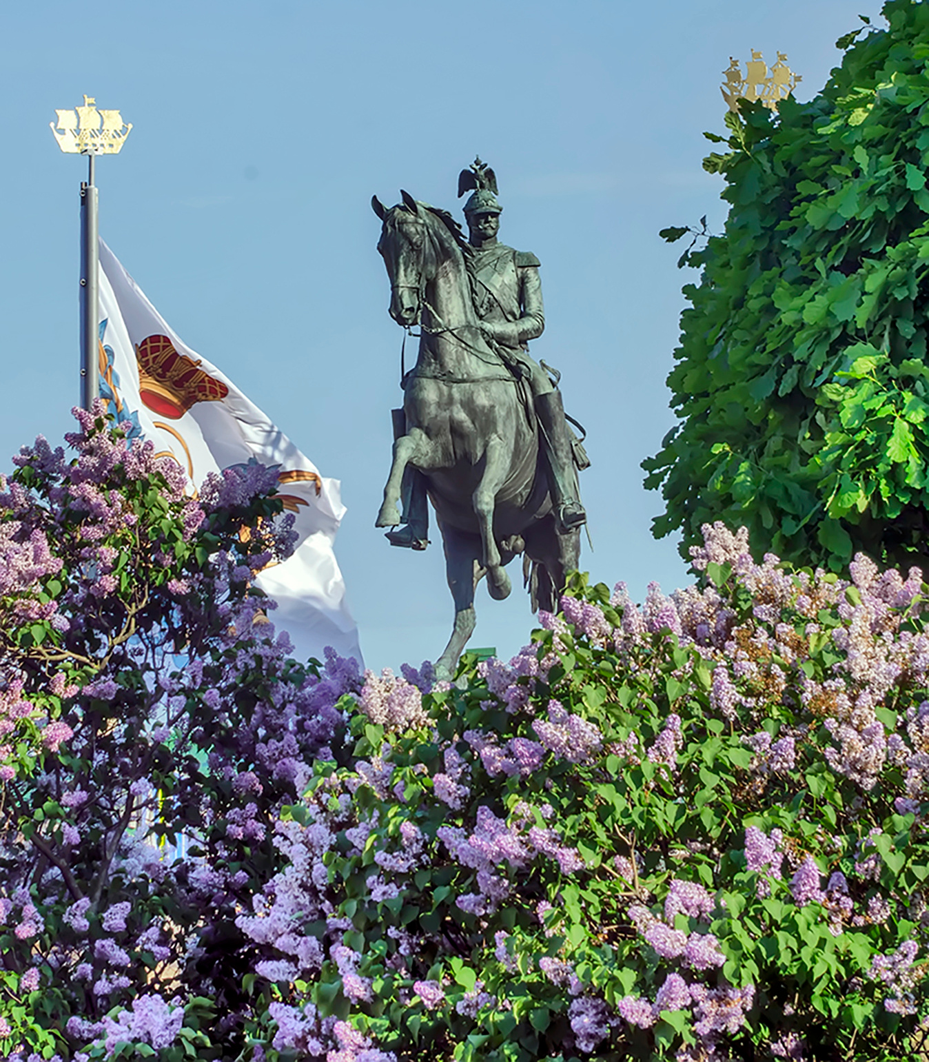 *** Сирень. 