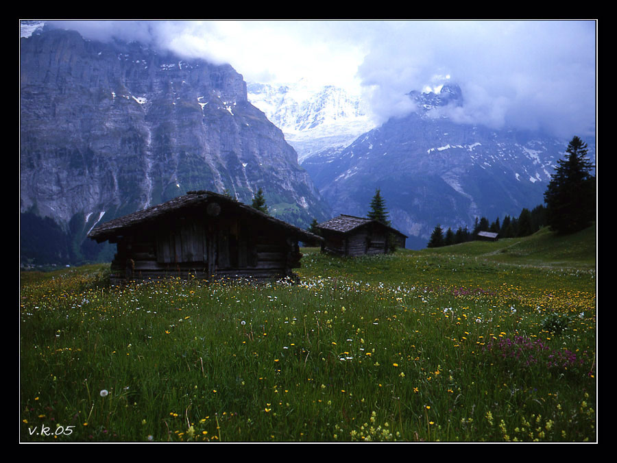 Чтоб мне там жить-II... гриндельвальд швейцария switzerland