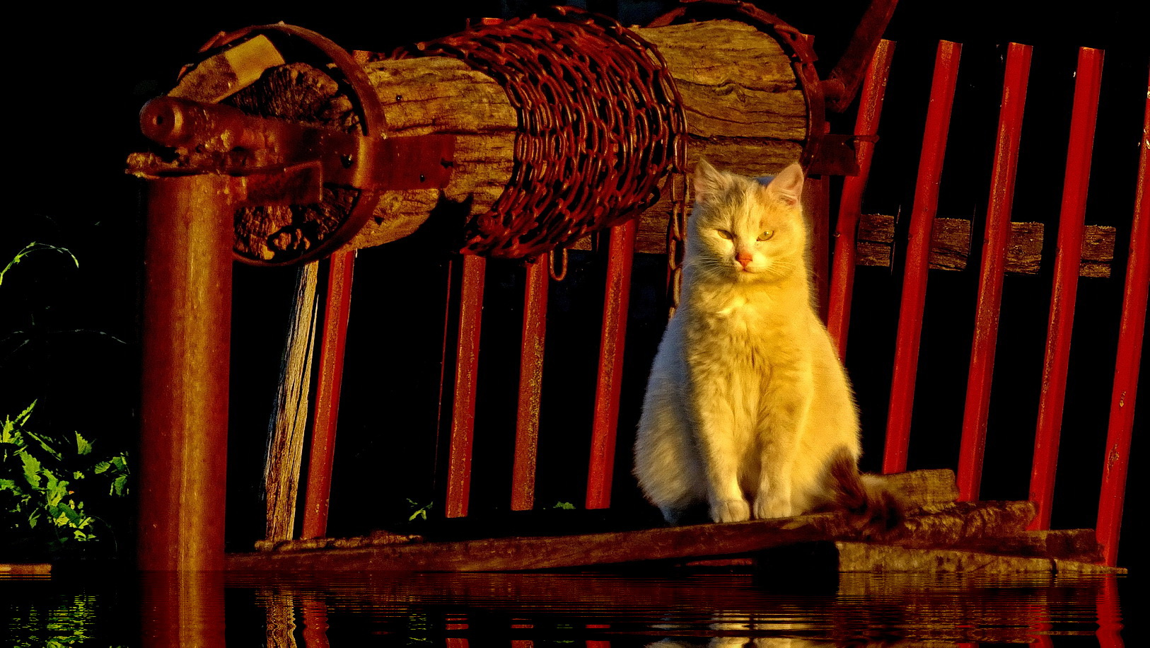 Кот Бегемот 