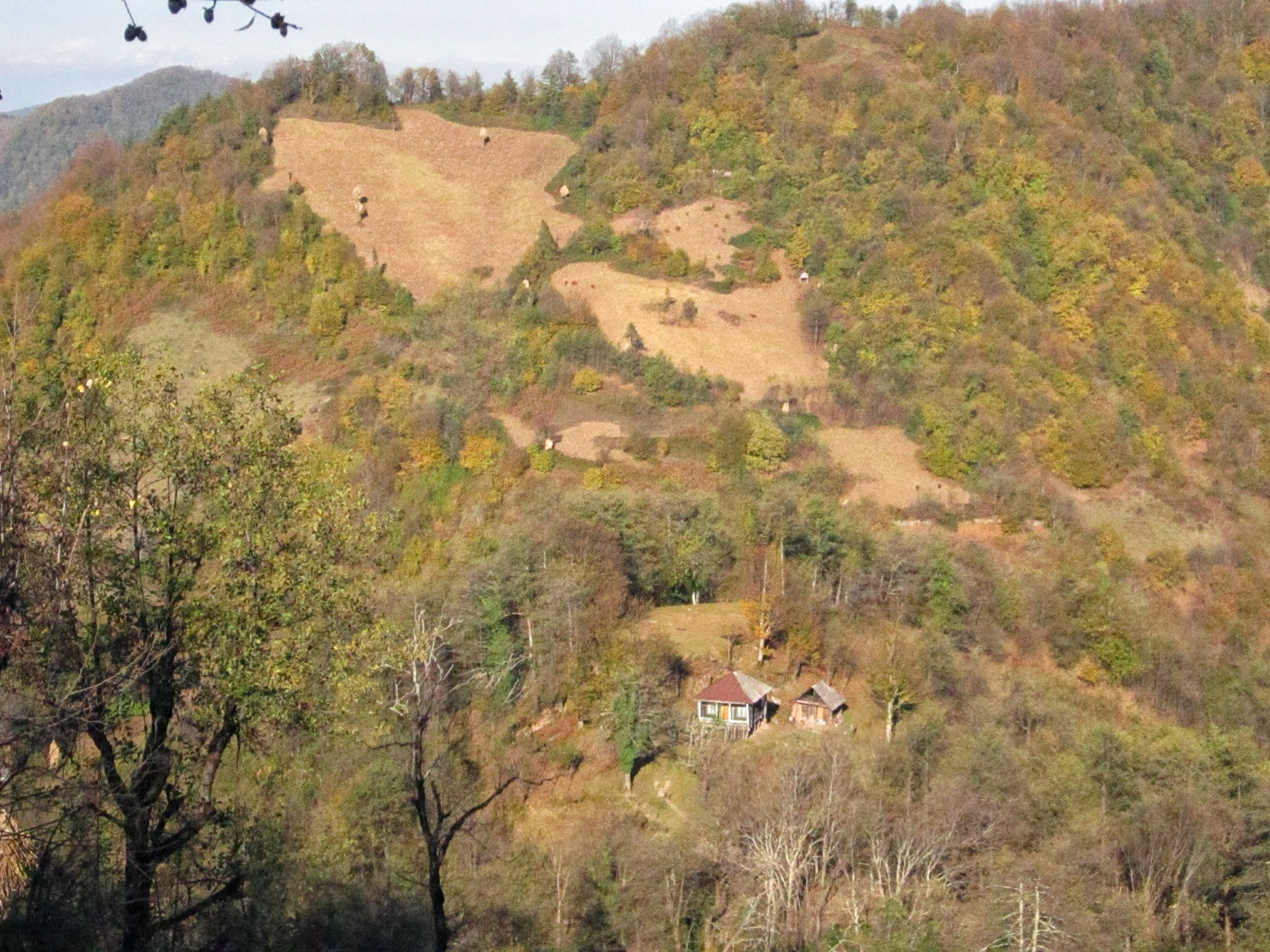 *** Erketi Guria Travel Georgia Грузия Гурия Природа