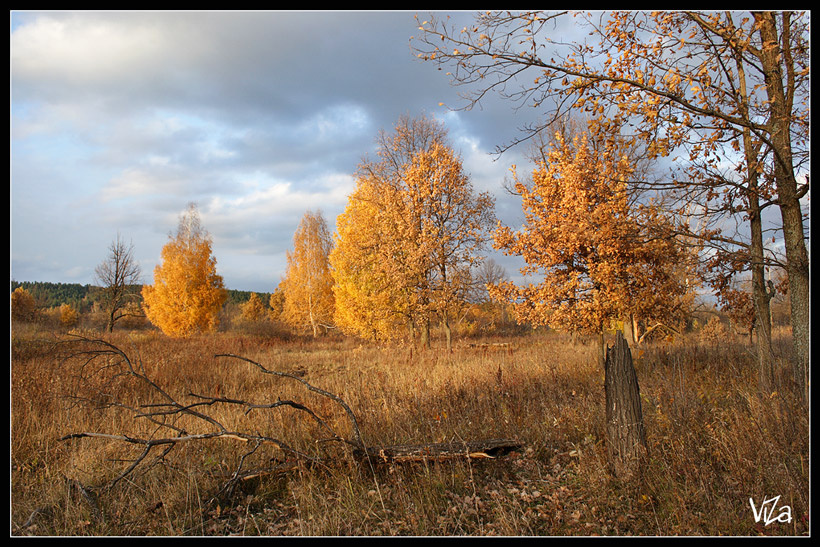 Осень на закате 