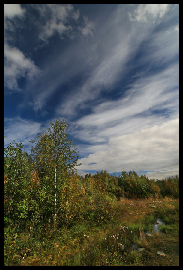Landscape мурманск осень лето