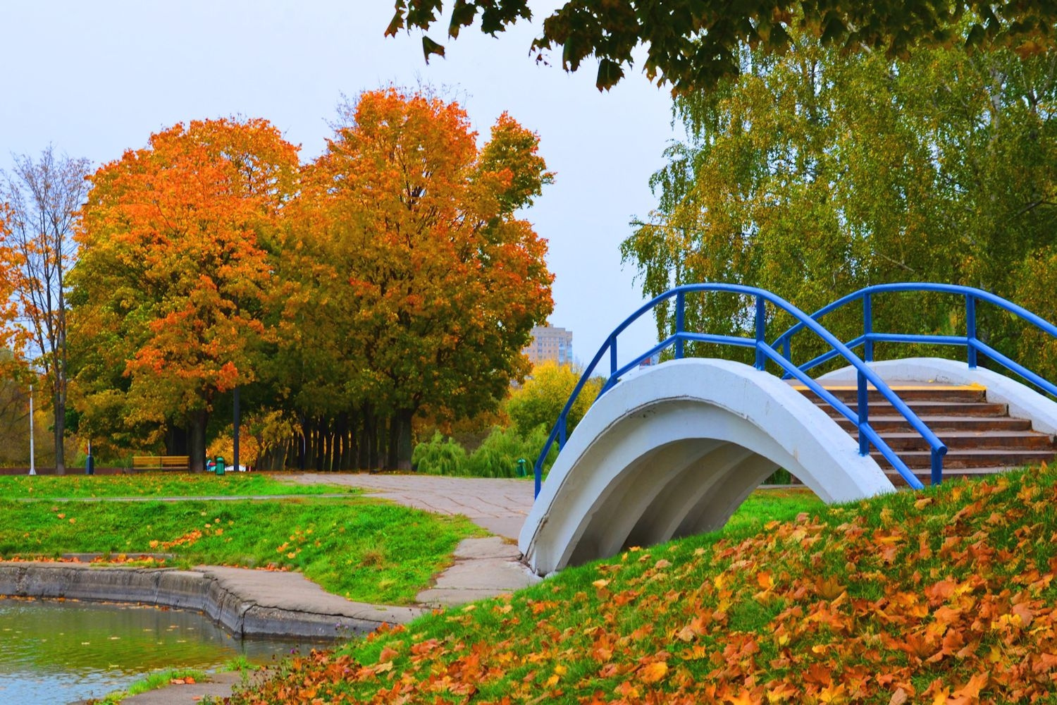 Осень 