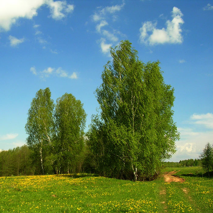Майский ветер Чкаловск