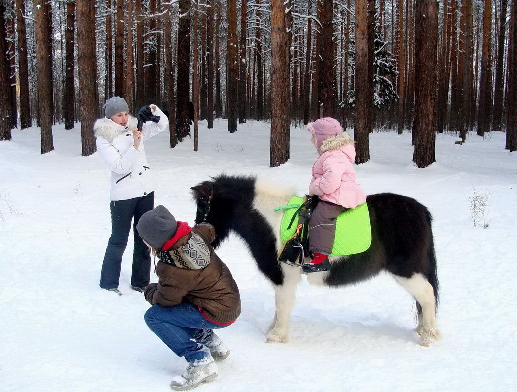 Зимние забавы. ---