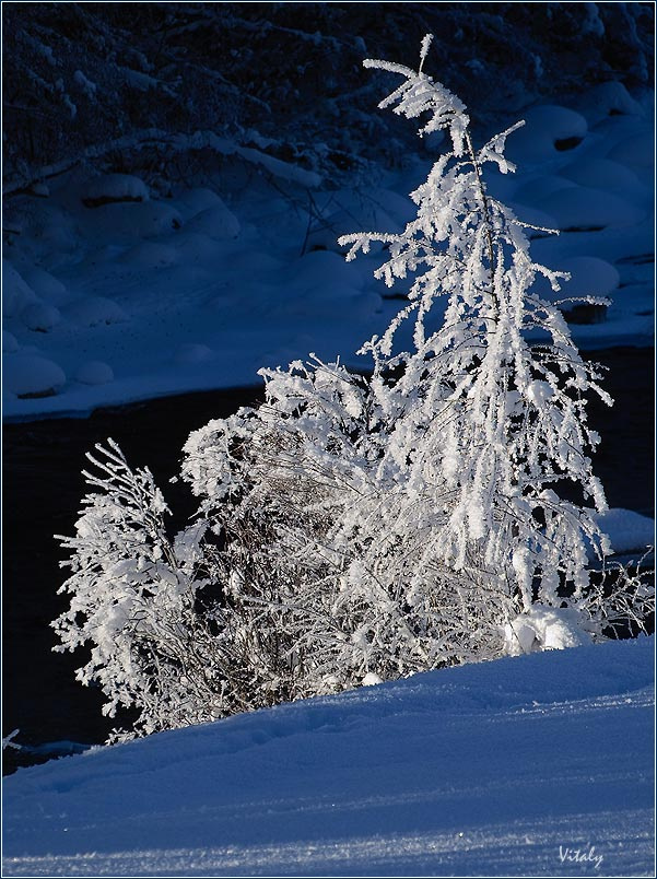 ICE 