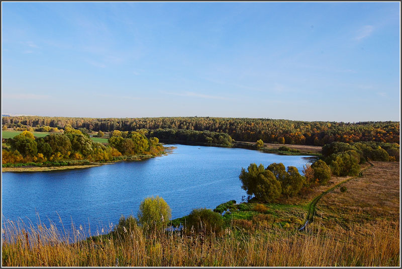 Река Зуша река, лес