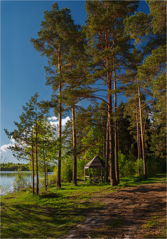 Весна у беседки 