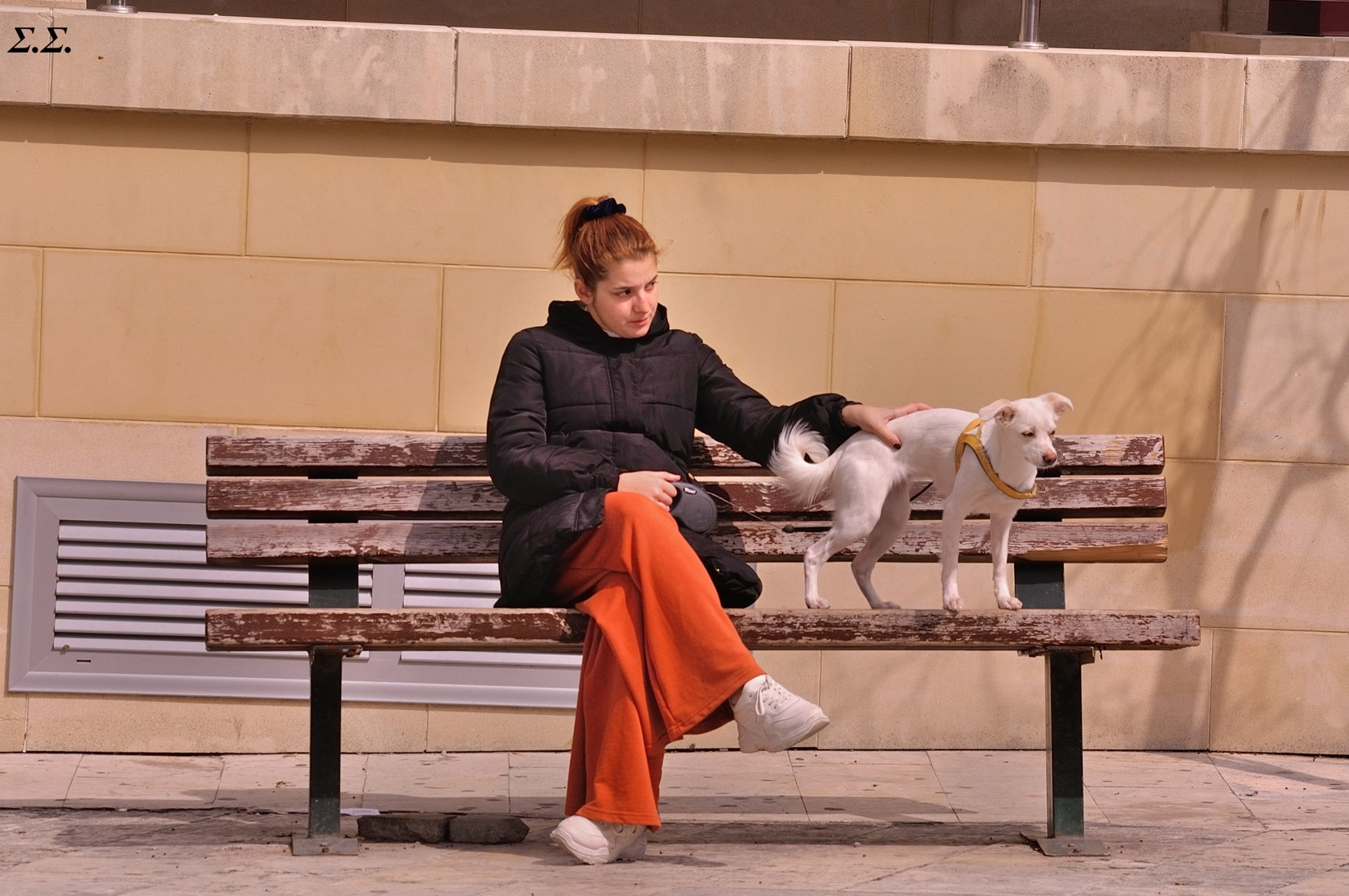 CONTEMPORARY GREEK FAMILY 