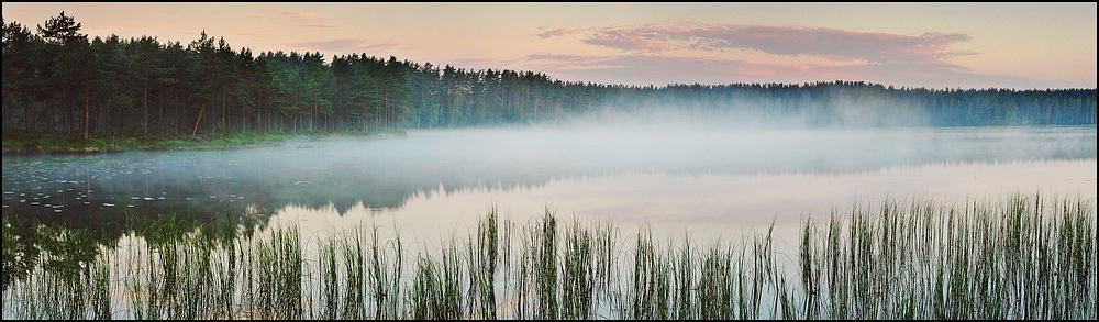 Червонное озеро. Утренний туман. Червонное озеро Карелия утро рассвет туман вода