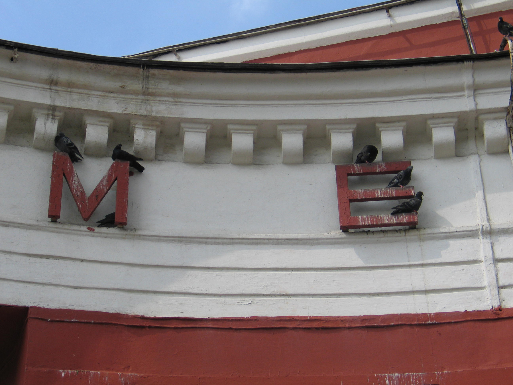 метро и голуби метро