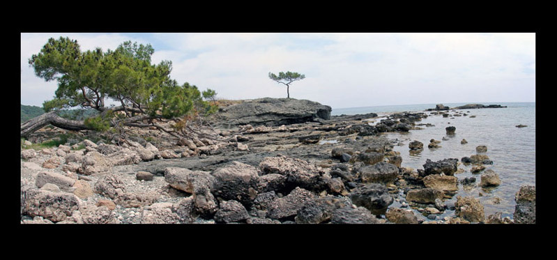 Phaselis Вид на море. Фазелис, Турция, море, берег, дерево, камни