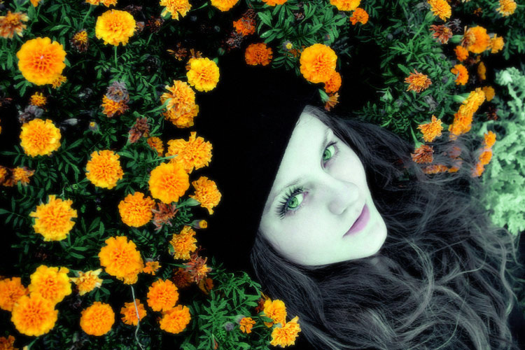 sleep with butterflies 